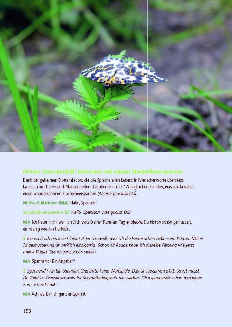 additionalImage4