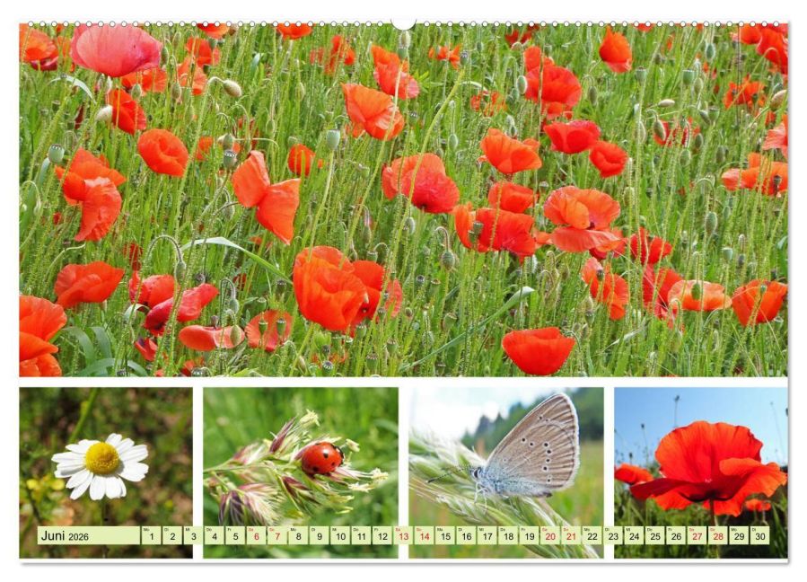 additionalImage10