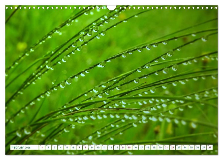 additionalImage7