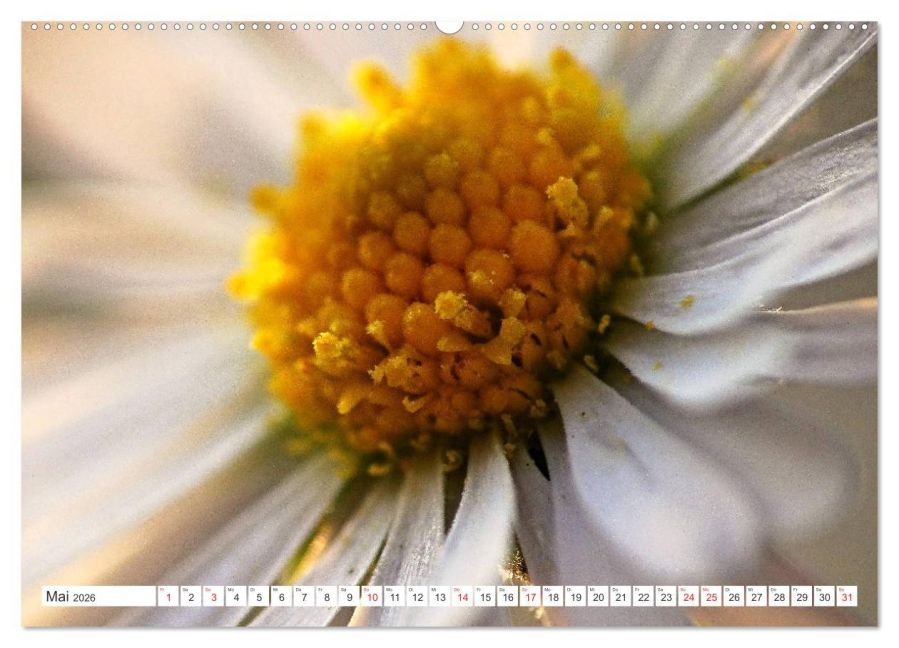 additionalImage9