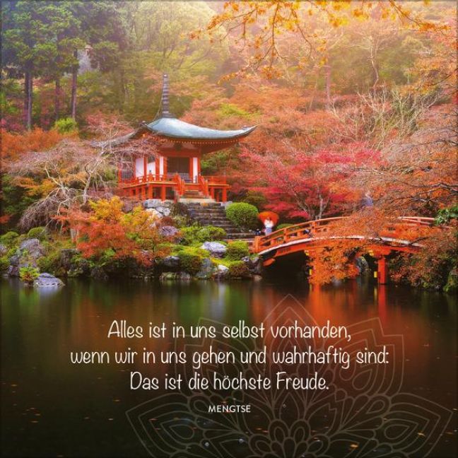 additionalImage11