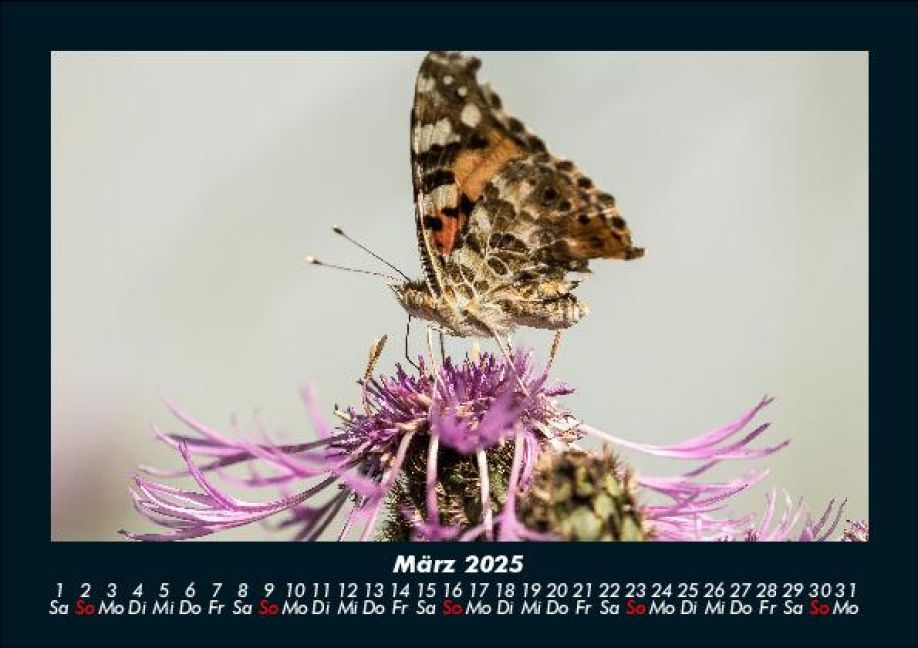 additionalImage7