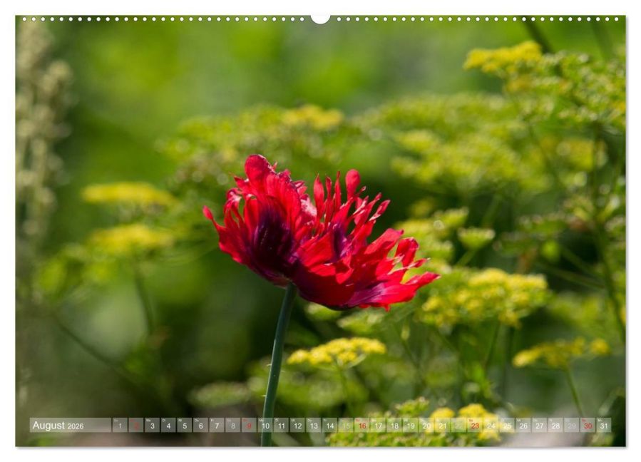 additionalImage12
