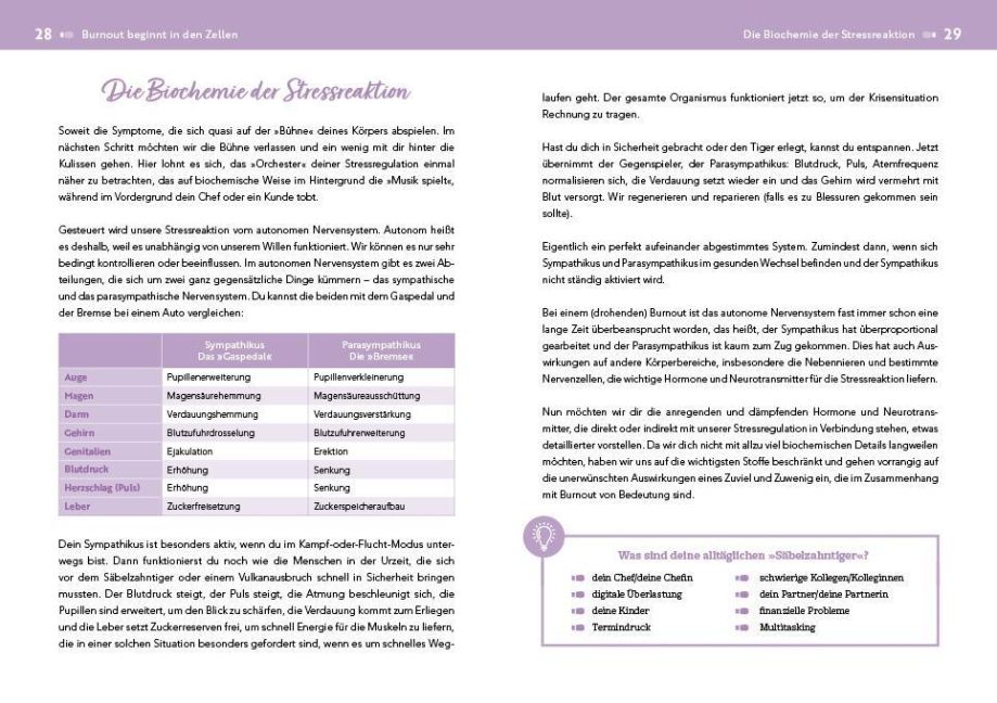 additionalImage3