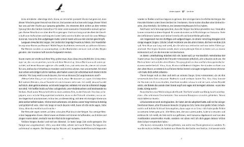 additionalImage8