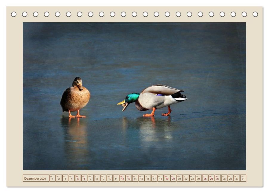 additionalImage4