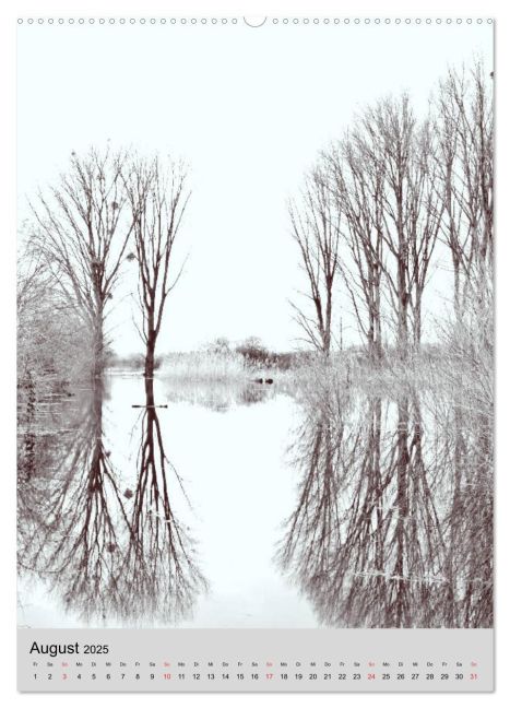 additionalImage12