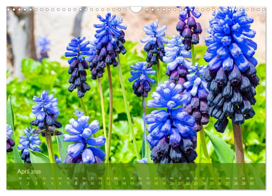 additionalImage9