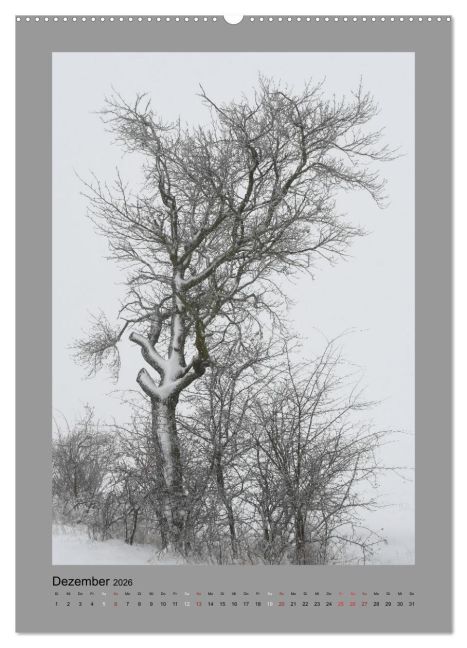 additionalImage4