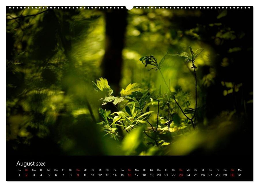 additionalImage13