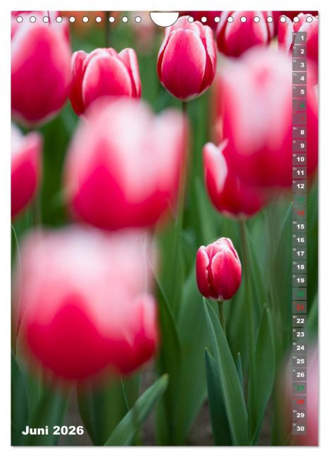 additionalImage11