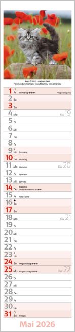 additionalImage5