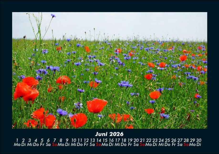 additionalImage10