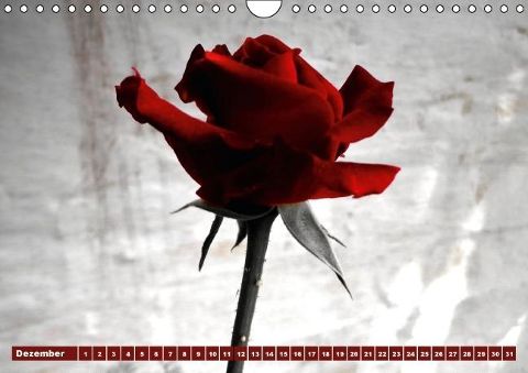 additionalImage12