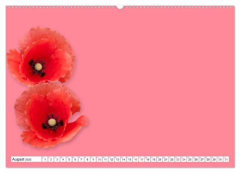 additionalImage12