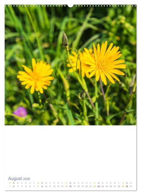 additionalImage12