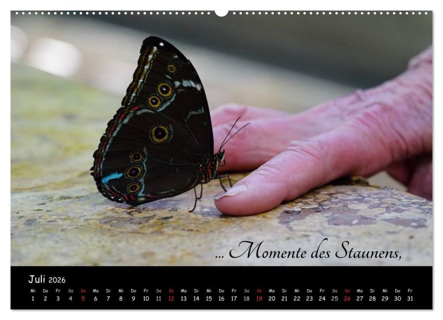additionalImage12