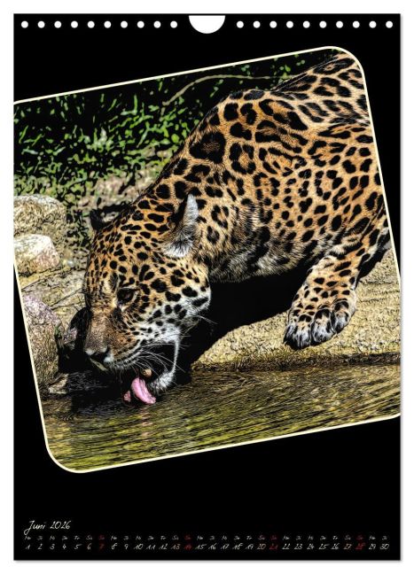 additionalImage11