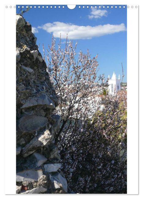 additionalImage12