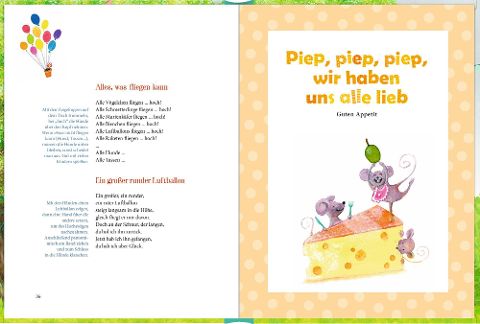 additionalImage11