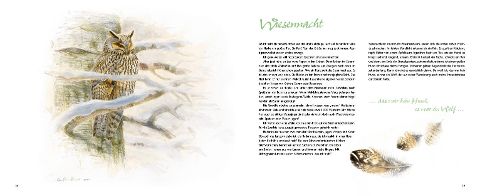 additionalImage2