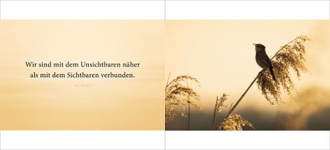 additionalImage5