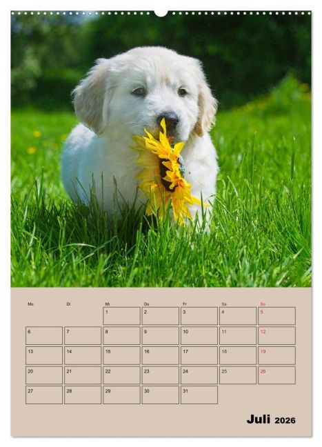 additionalImage12