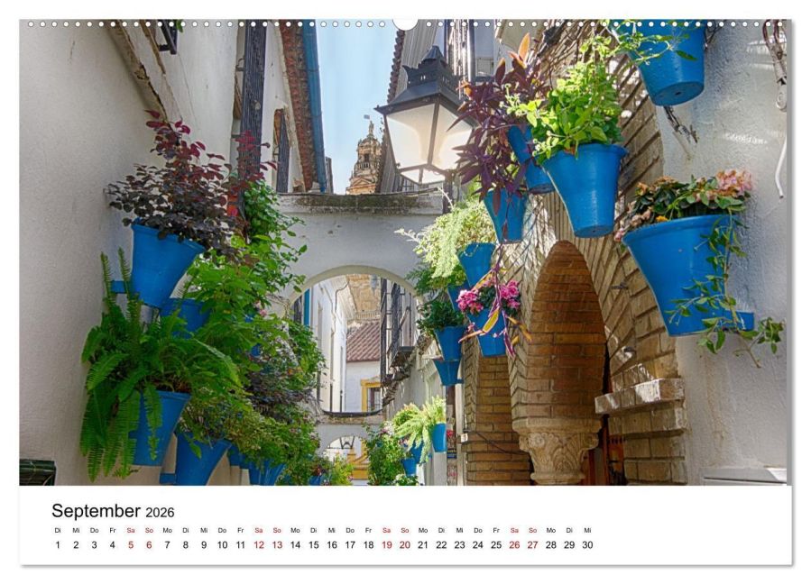 additionalImage13