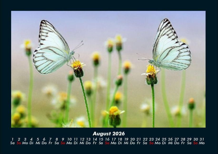 additionalImage12