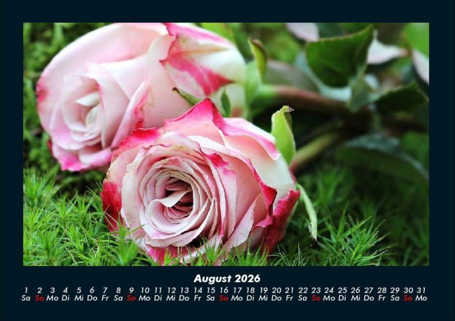 additionalImage12