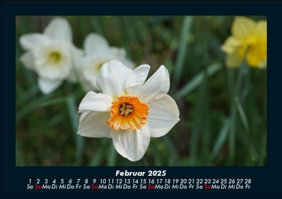 additionalImage6