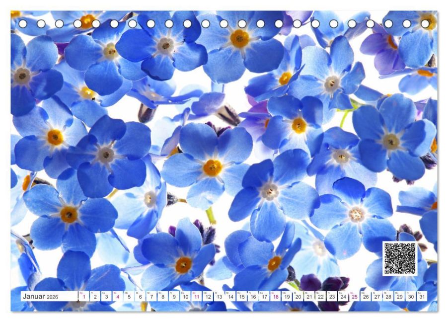 additionalImage6