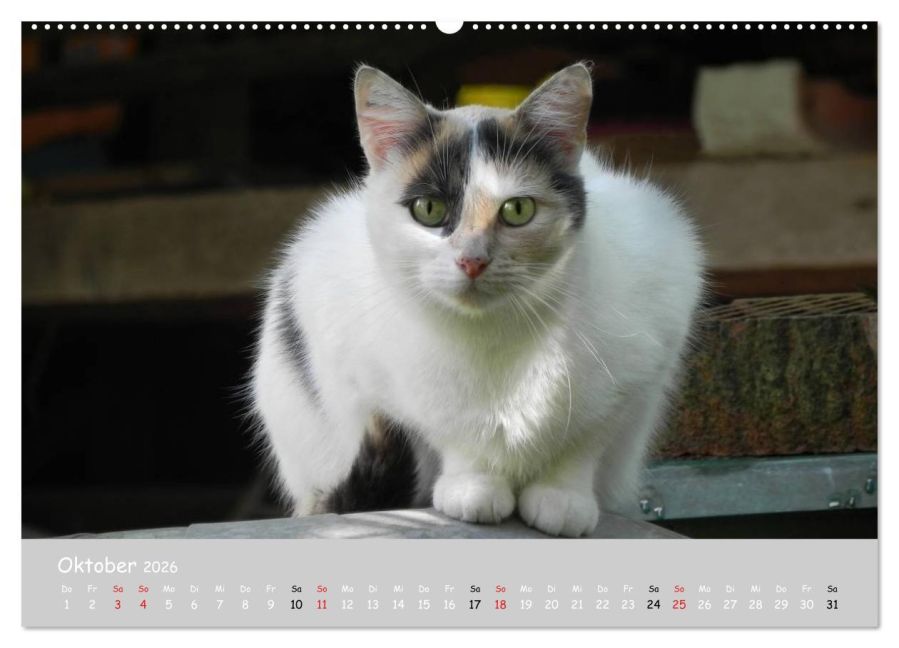 additionalImage1