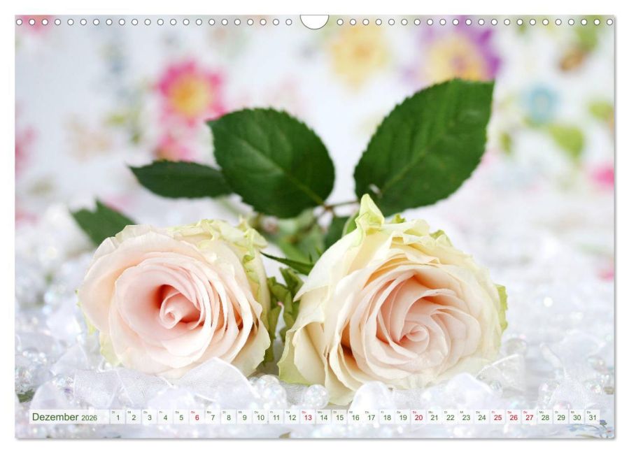 additionalImage4