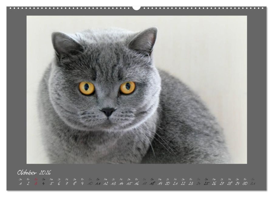 additionalImage1