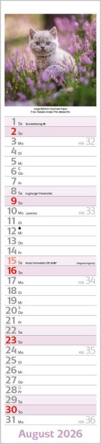 additionalImage8