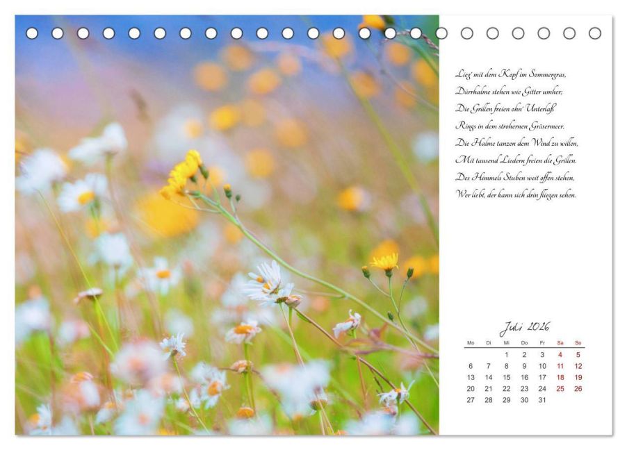 additionalImage12