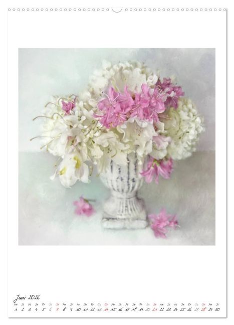 additionalImage11