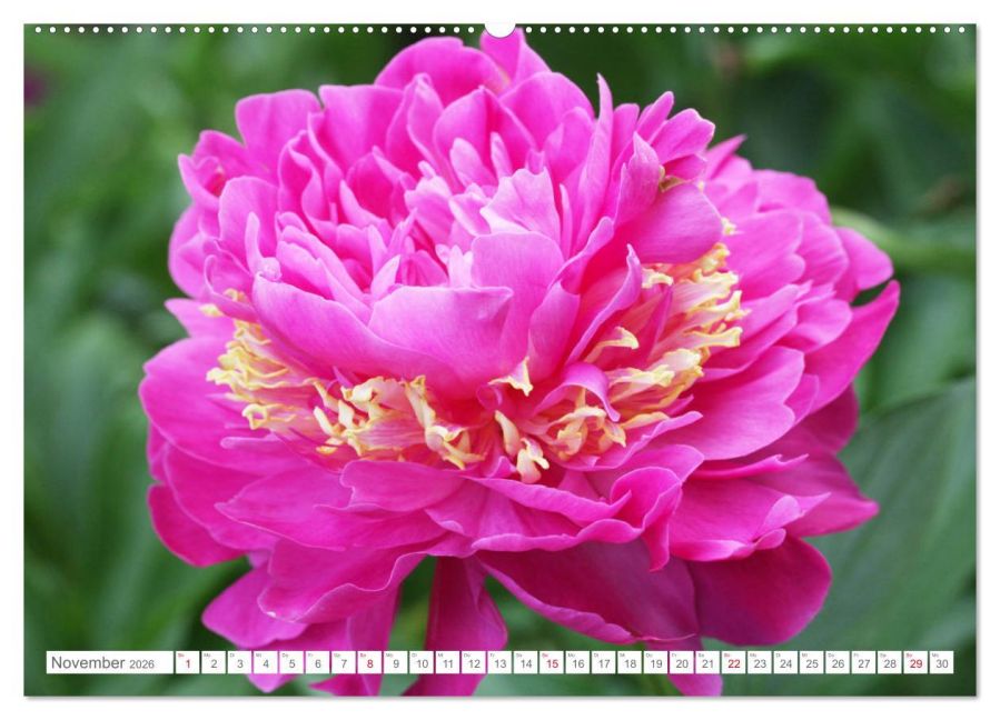 additionalImage2