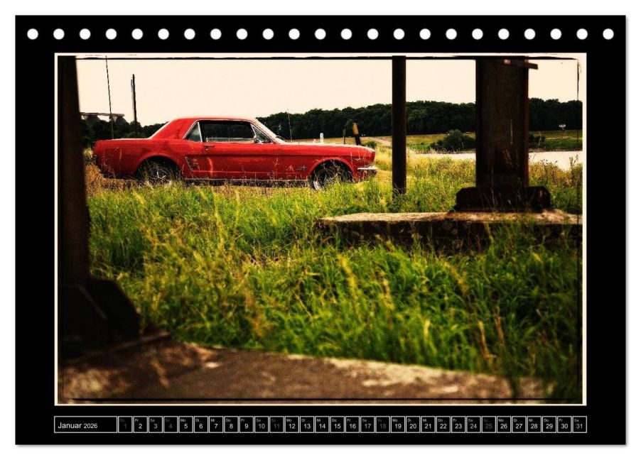 additionalImage6