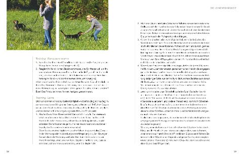 additionalImage2