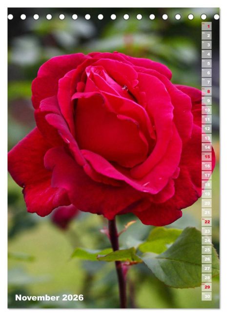 additionalImage3