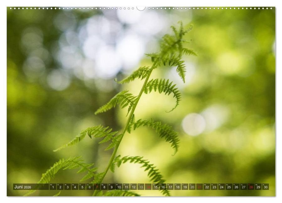 additionalImage10