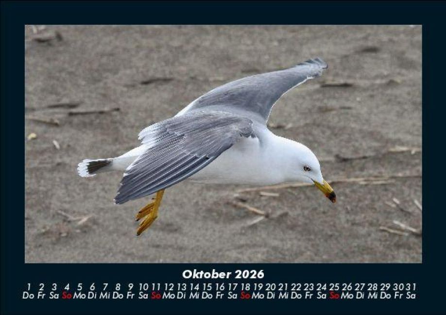 additionalImage2
