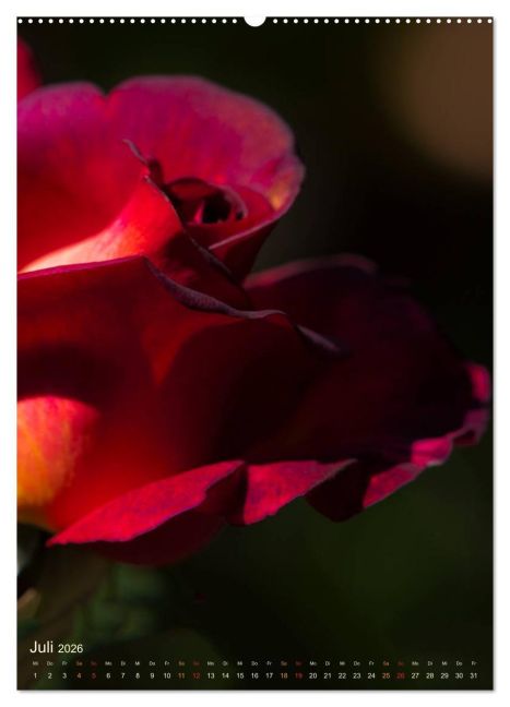 additionalImage11