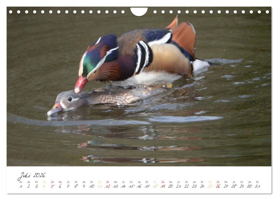additionalImage12