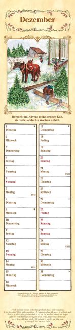 additionalImage12