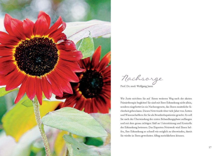 additionalImage6