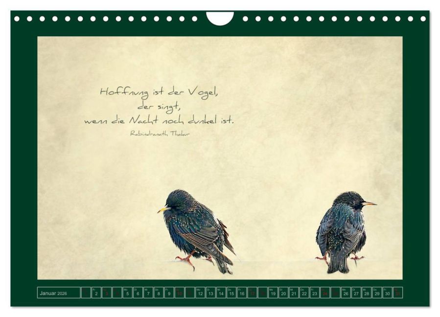 additionalImage6