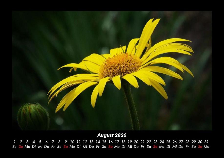 additionalImage12
